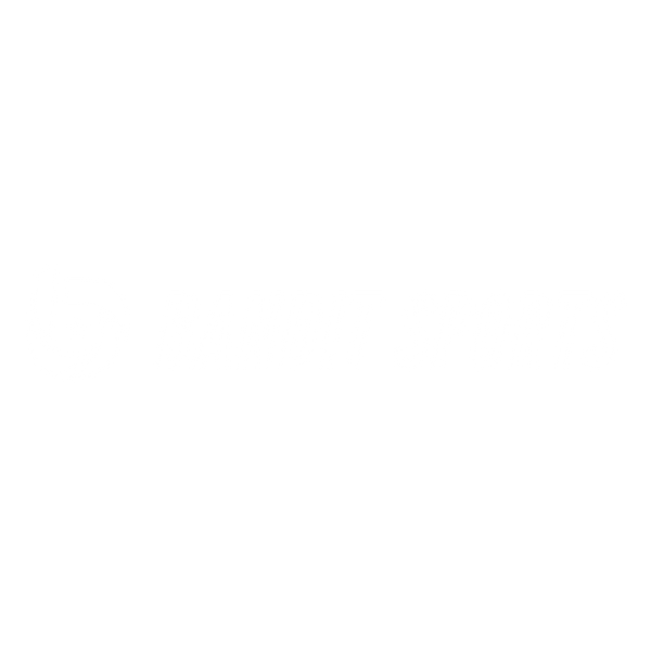 Bandit Sports Logo