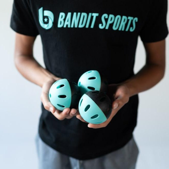 Backyard Training Bundle