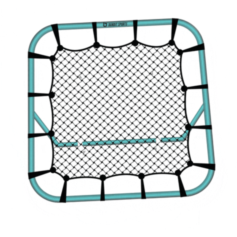 Bounce Back Net